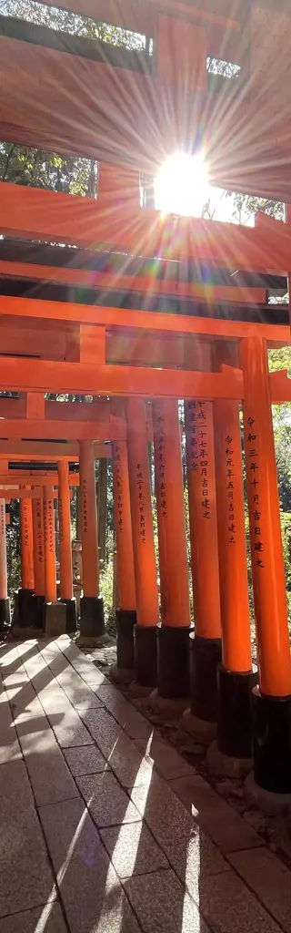 Mit dem Zug durch Japan – spannend für die ganze Familie